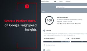 Score a Perfect 100% on Google PageSpeed Insights